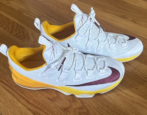 Nike lebron low - 13,